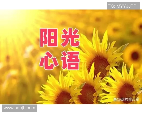 代怀博的成长之路:从平凡到卓越的奋斗历程与人生启示